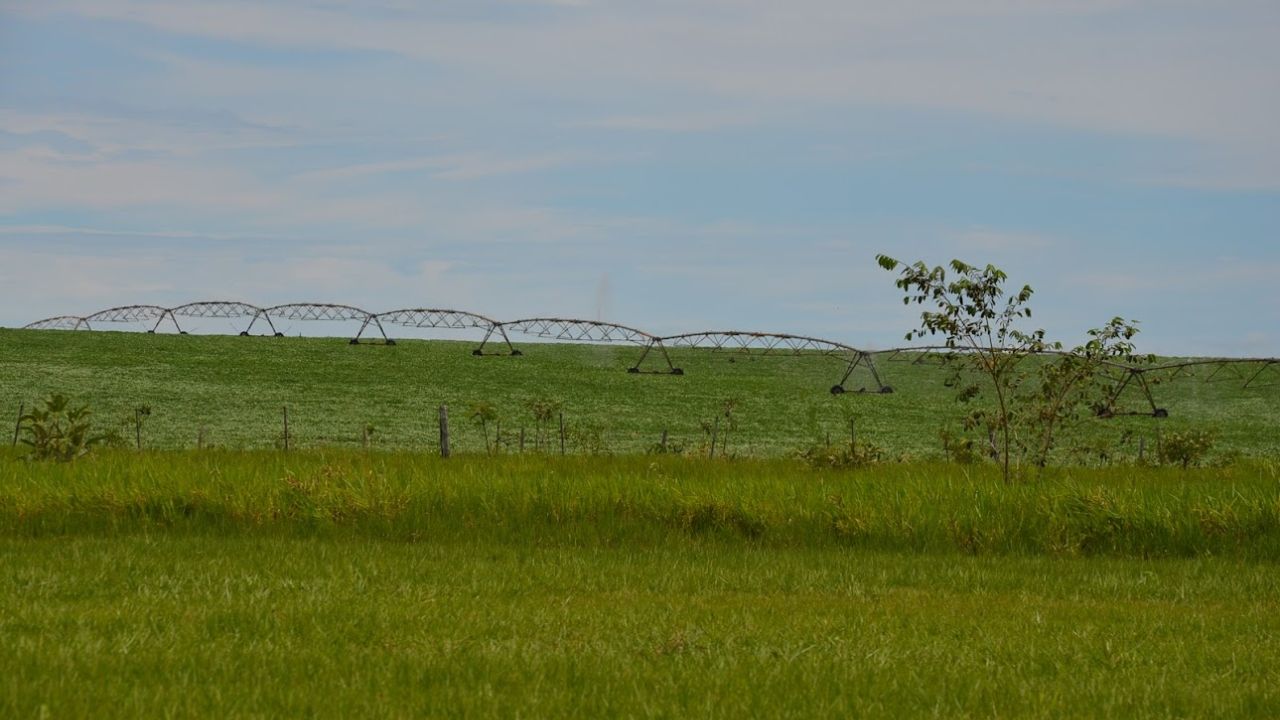 Os fertilizantes químicos são amplamente utilizados no Brasil para melhorar a produtividade do solo na agricultura. 