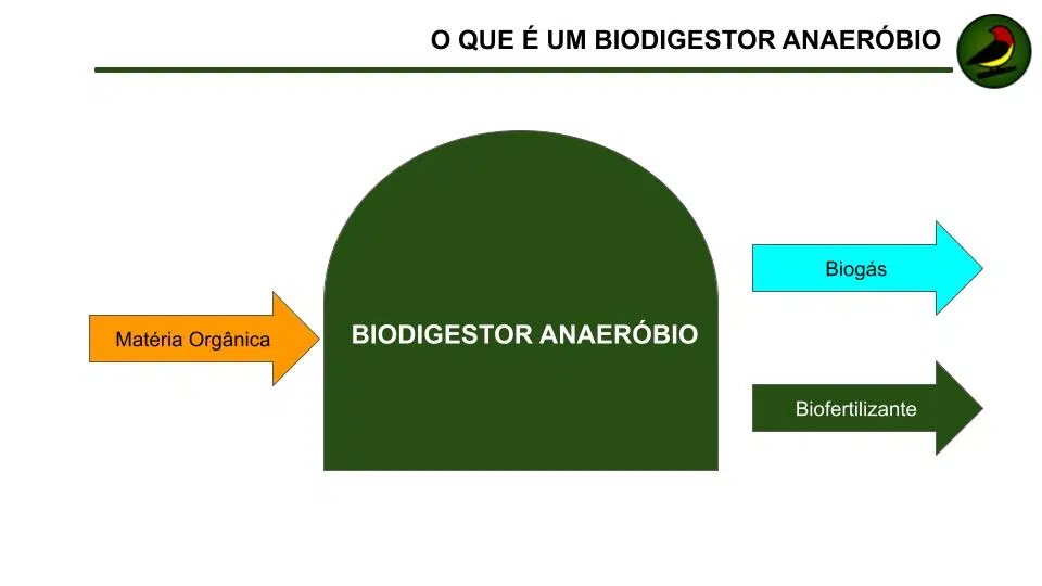O Que É E Como Funciona Um Biodigestor Anaeróbio