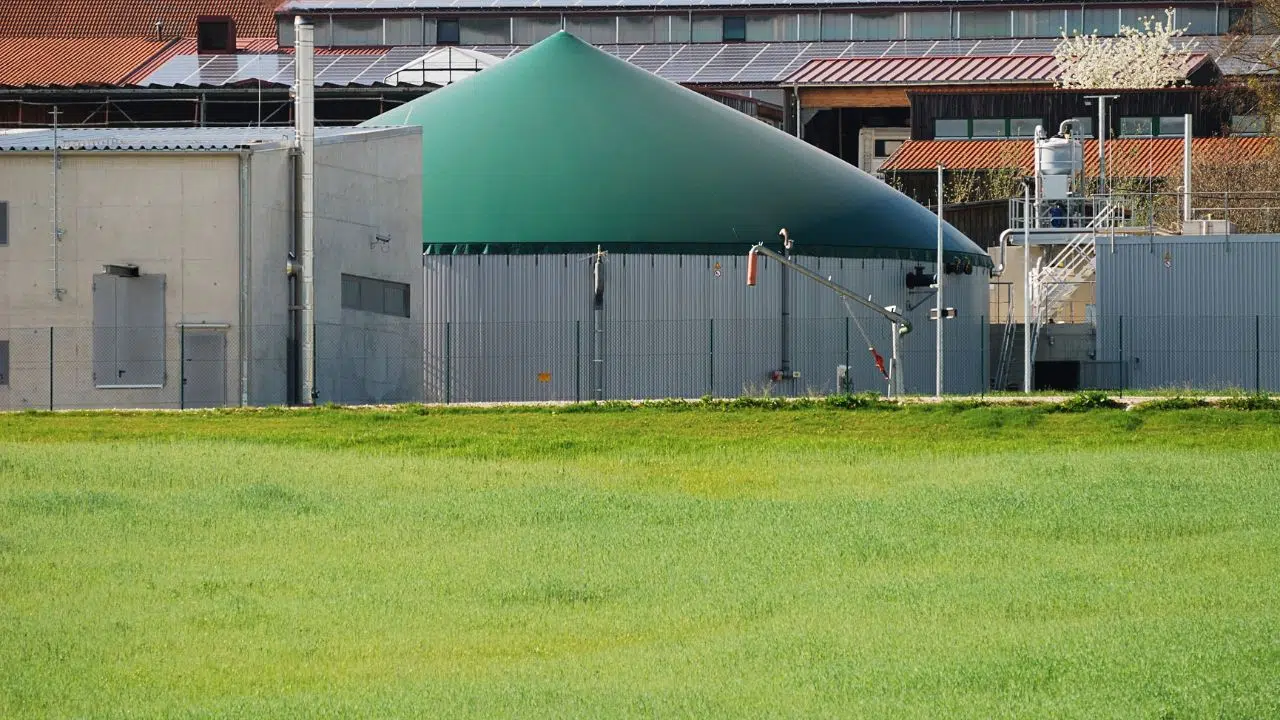 Biodigestor E Usina De Biogas