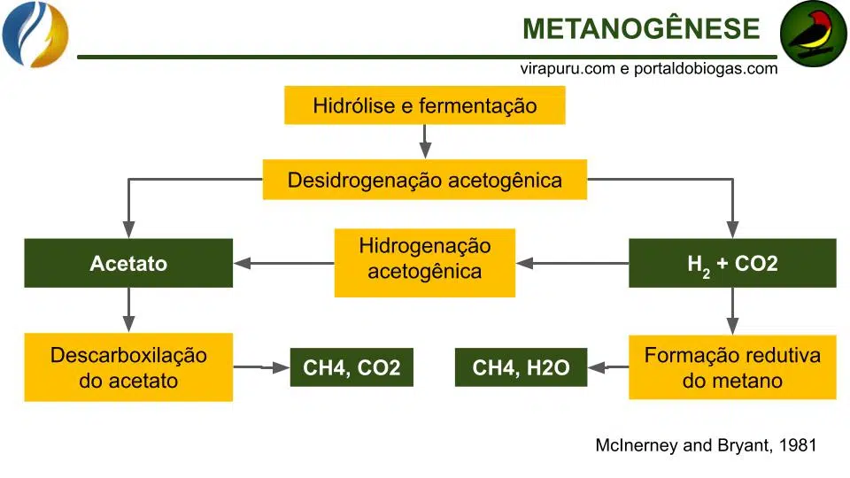 A Metanogênese É Um Importante Processo Na Produção De Biogás, Pois É Responsável Pela Conversão Dos Substratos Orgânicos Em Metano. O Controle Das Condições Ambientais É Essencial Para Garantir A Eficiência Desse Processo.