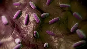 Sulfatogênese Na Biodigestão Anaeróbia