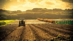 Agricultura Sustentável – 7 Pontos Para Saber