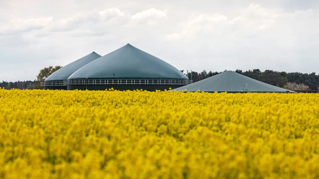A Produção De Biogás A Partir De Resíduos Agrícolas Pode Ajudar A Reduzir Os Impactos Ambientais Da Atividade E A Promover A Sustentabilidade.
